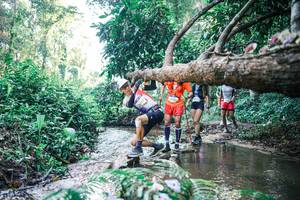 BIB: 
                            <button type="button" onclick="openModal(25432854)" class="btn btn-primary btn-sm float-right btn-popup" data-toggle="modal" data-target=".modal-high-quality">
                        <i class="fas fa-shopping-cart"></i> Add to Cart
                    </button>
                                            <button type="button" onclick="isThisMe(25432854, true)" class="btn btn-success btn-sm float-right btn-popup btn-isme hidden" data-toggle="tooltip" data-placement="bottom" title="นี่คือรูปของคุณใช่ไหม คลิกที่นี่เพื่อเอาเข้าอัลบั้ม">
                        <i class="fas fa-plus"></i> Add to album
                    </button>
                    <button type="button" onclick="isThisMe(25432854, false)" class="btn btn-warning btn-sm float-right btn-popup btn-isnotme hidden">
                        <i class="fas fa-ban"></i> Remove from album
                    </button>